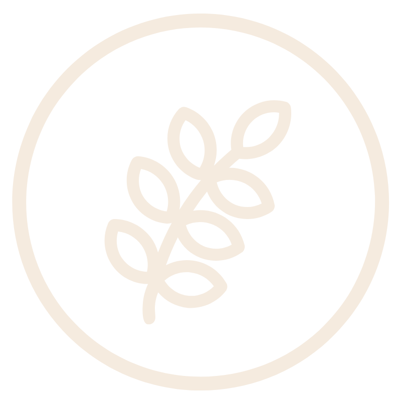 feature-item-1