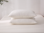 King Quilted Pillow Cases (2) - 100% Washed Eucalyptus (Set of Two)